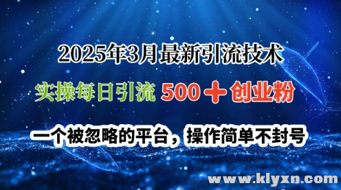 20253 ʵÿ500 ҵ һԵƽ̨ 򵥲.png